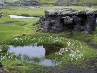 Lavaburg mit Wollgrassee davor